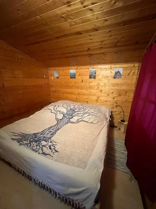 3 Zimmer Rustico in Monte Carasso – Foto 3 von 10