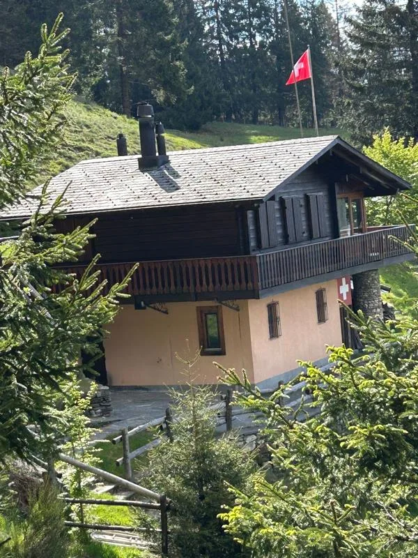 3 Zimmer Rustico in Monte Carasso – Foto 4 von 10