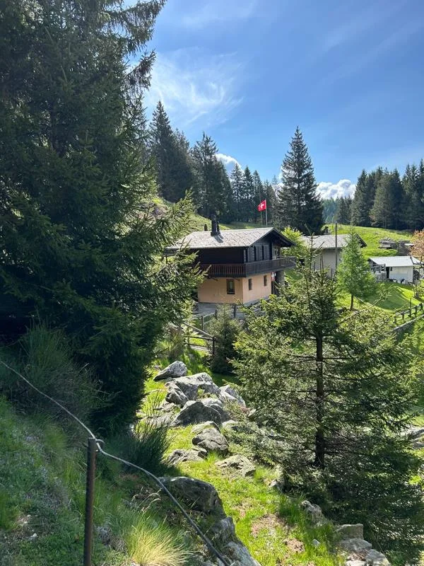 3 Zimmer Rustico in Monte Carasso – Foto 2 von 10