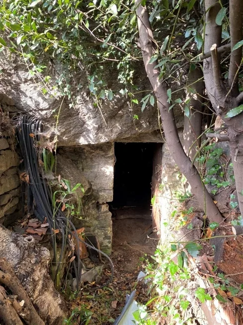 1 Zimmer Bauernhaus in Sementina – Foto 12 von 13