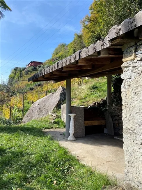 1 Zimmer Bauernhaus in Sementina – Foto 6 von 13
