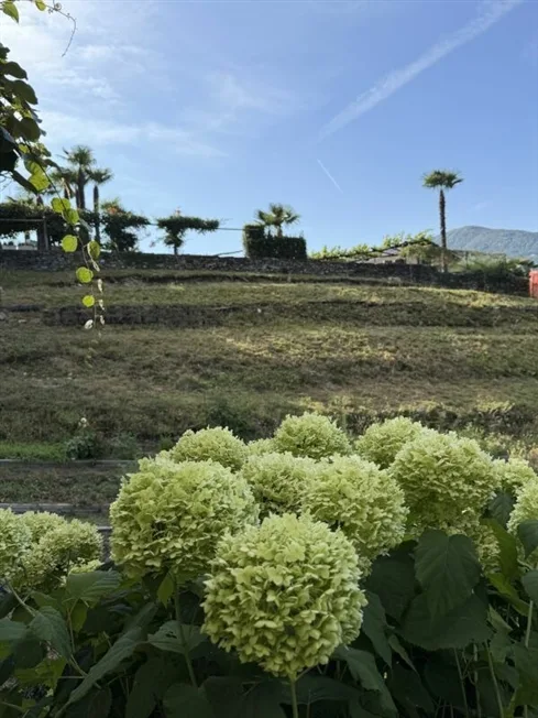 5.5 Zimmer Einfamilienhaus in Cugnasco – Foto 7 von 18