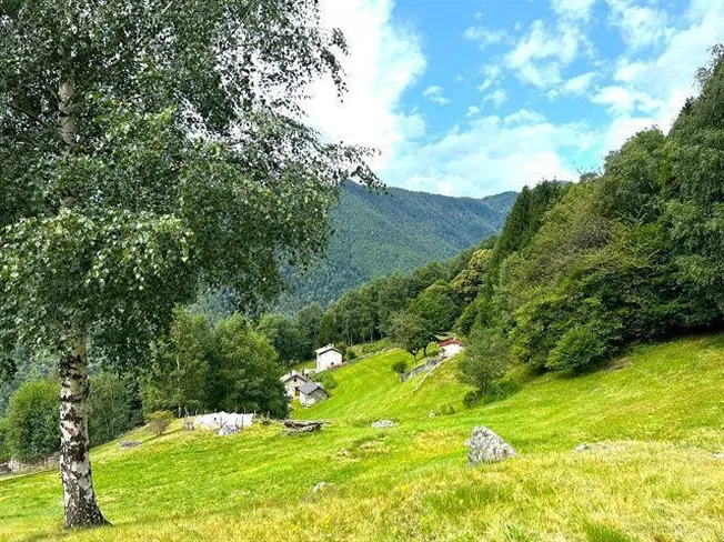 2.5 Zimmer Rustico in Gorduno – foto 11 di 13