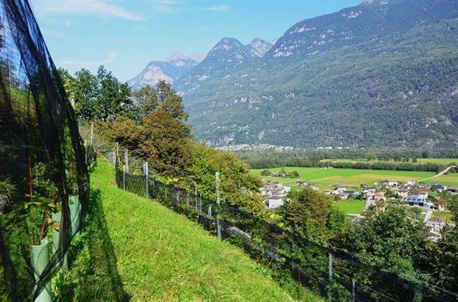 2.5 Zimmer Rustico in Preonzo – Foto 12 von 13