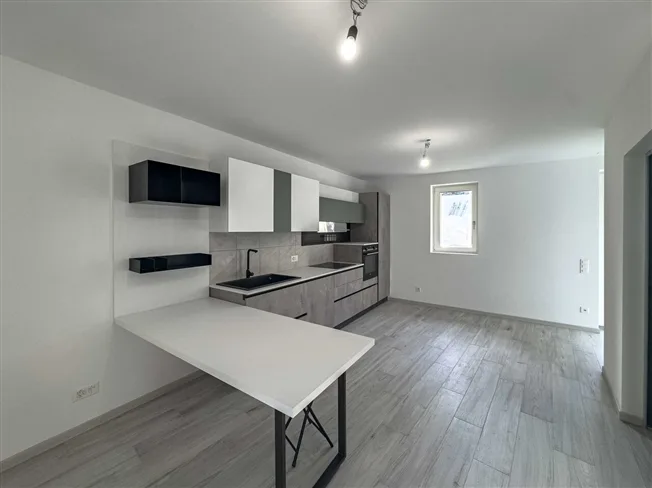 3.5 Zimmer Einfamilienhaus, 6525 Gnosca