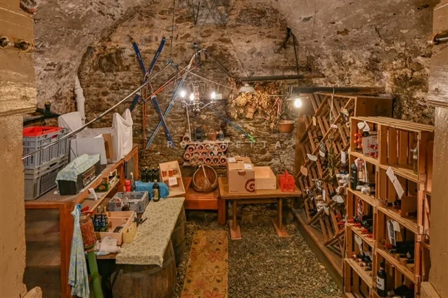 7.5 Zimmer Einfamilienhaus in Camorino – foto 13 di 13