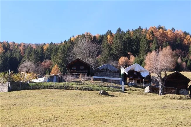 2.5 Zimmer Rustico in Buseno – photo 13 sur 13