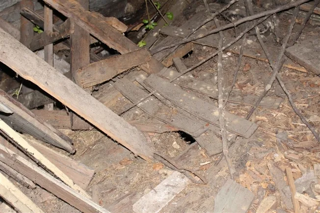 2.5 Zimmer Rustico in Cauco – foto 8 di 12