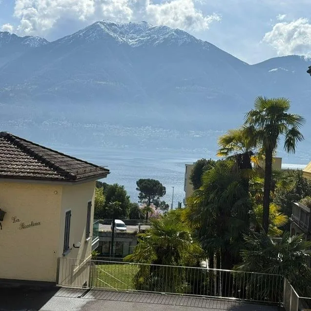 2.5 Zimmer Wohnung in Muralto – Foto 9 von 10