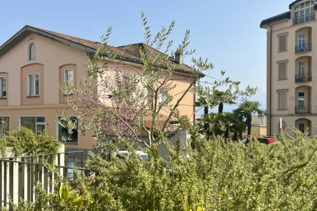 Wohnung in Muralto – photo 20 sur 20