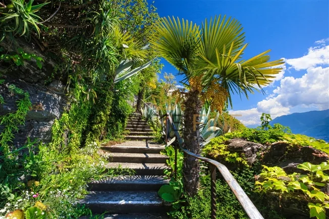 6.5 Zimmer Villa in Ascona – Foto 14 von 17