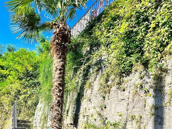 3 Zimmer Villa in Losone – foto 2 di 5