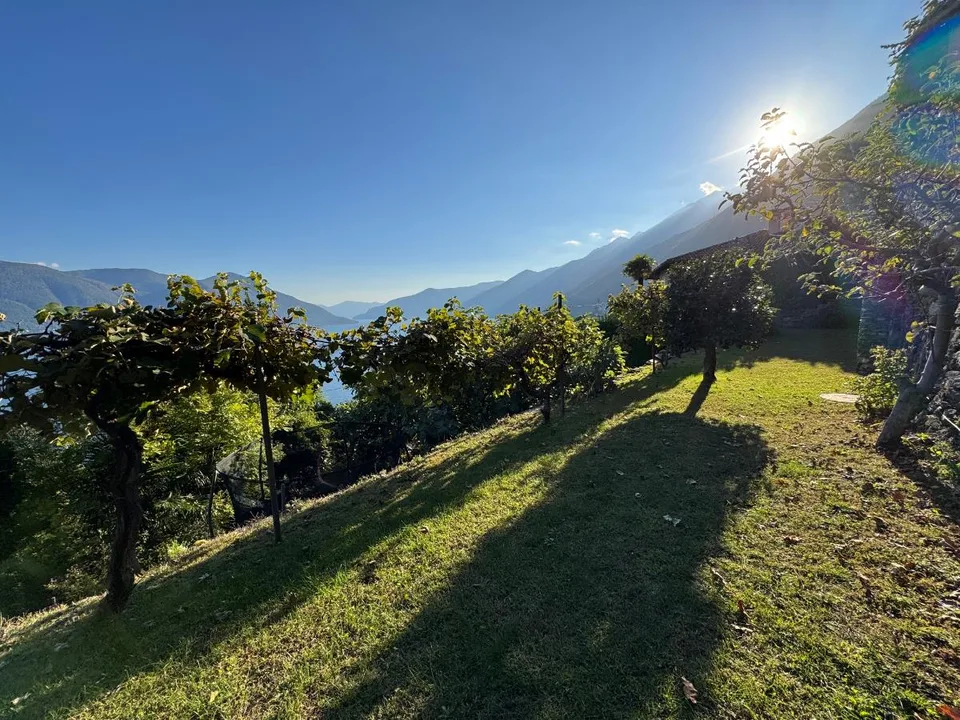 7 Zimmer Einfamilienhaus in Ronco sopra Ascona – Foto 2 von 5