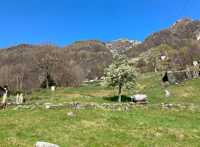 4.5 Zimmer Rustico in Corippo – Foto 6 von 9
