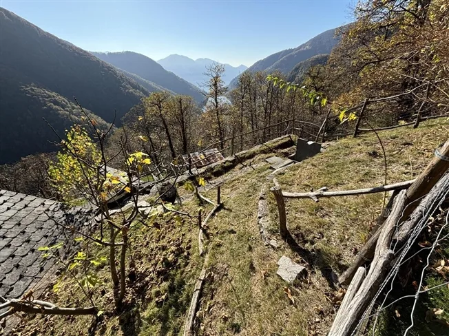 3.5 Zimmer Rustico in Vogorno – foto 12 di 13