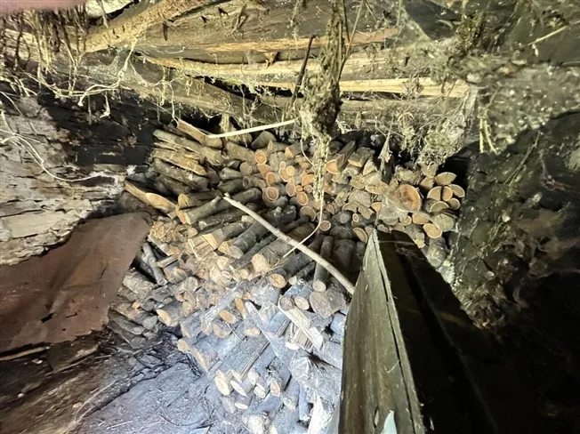 2 Zimmer Rustico in Intragna – Foto 2 von 13
