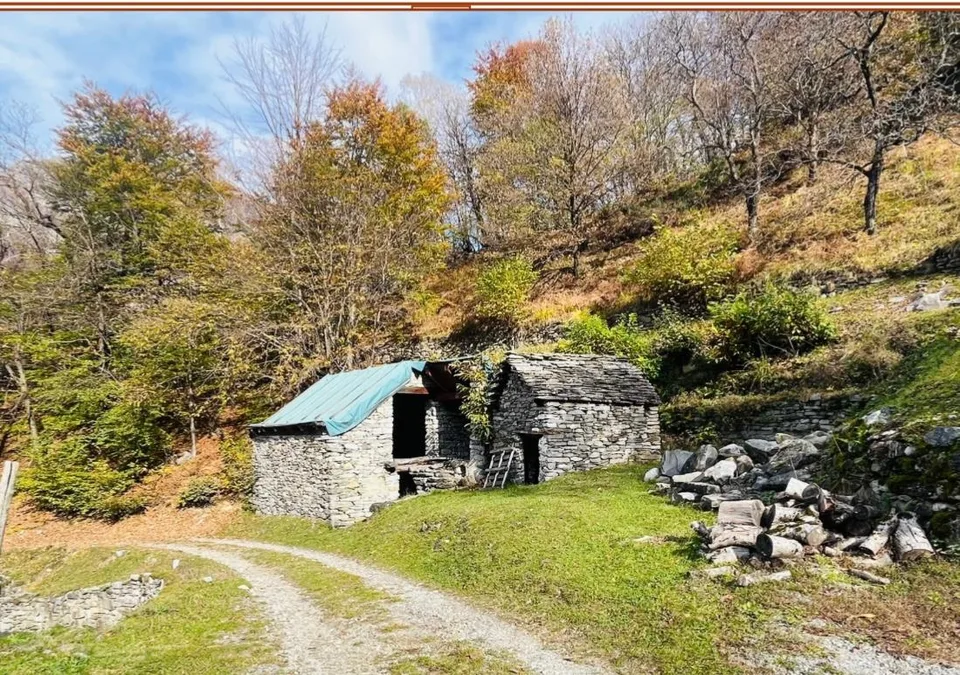 3.5 Zimmer Rustico in Bignasco – foto 2 di 6
