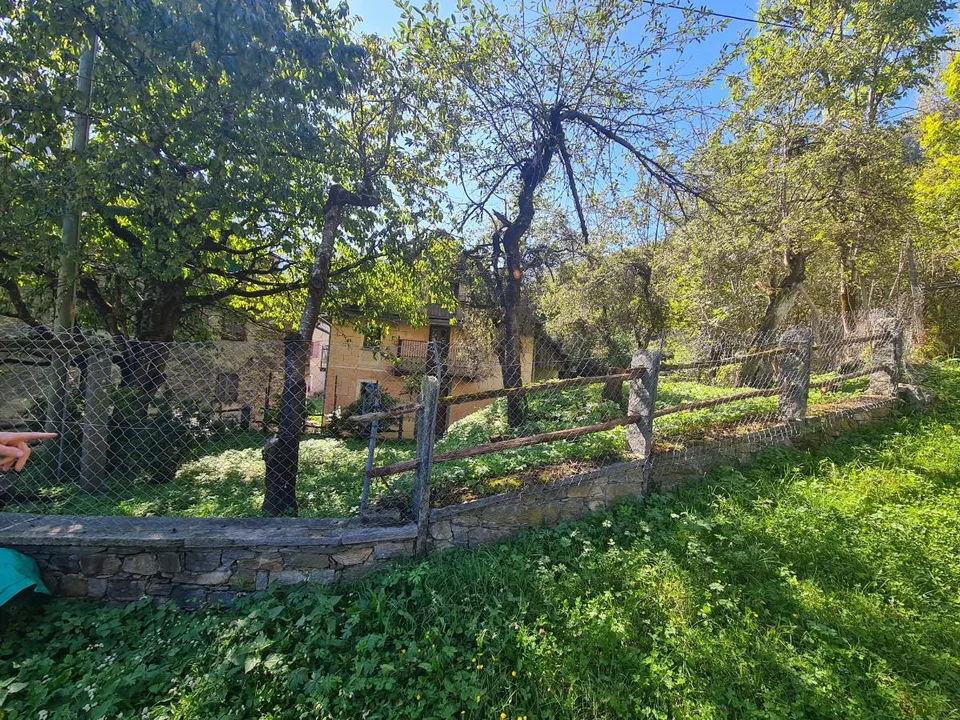5.5 Zimmer Rustico in Cerentino – foto 2 di 5