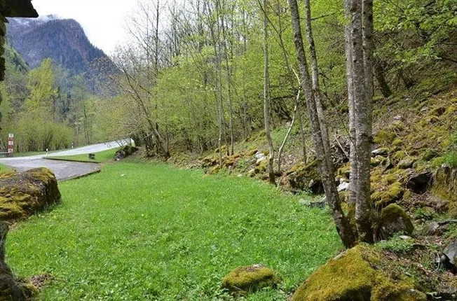 2.5 Zimmer Rustico in Cerentino – foto 13 di 13