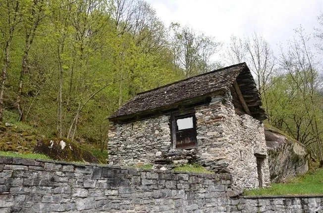 2.5 Zimmer Rustico in Cerentino – foto 4 di 13