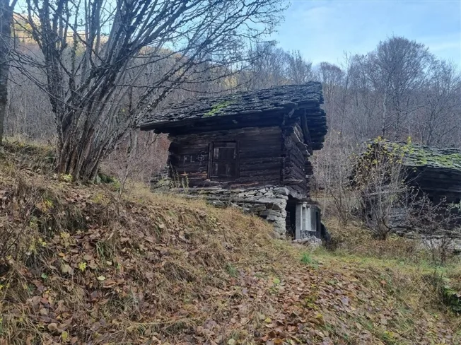3.5 Zimmer Rustico in Campo (Vallemaggia) – Foto 8 von 12
