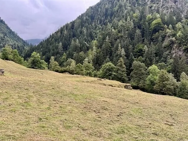4.5 Zimmer Einfamilienhaus in Prato-Sornico – Foto 8 von 12