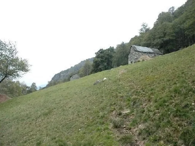 3 Zimmer Bauernhaus in Iragna – Foto 2 von 6