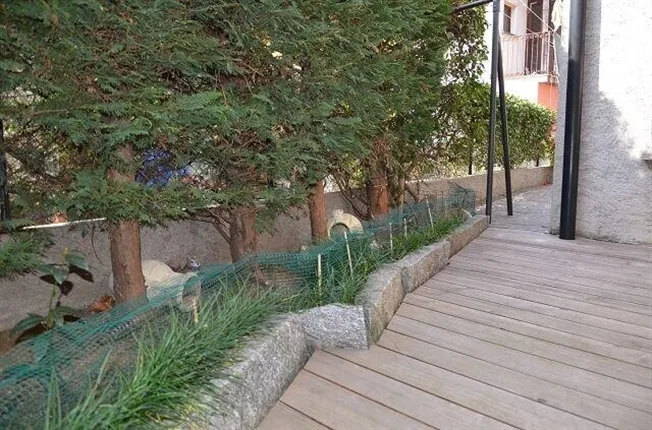 10.5 Zimmer Einfamilienhaus in Biasca – foto 6 di 13