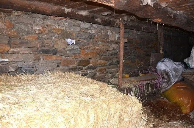 2 Zimmer Rustico in Campo (Blenio) – Foto 4 von 13
