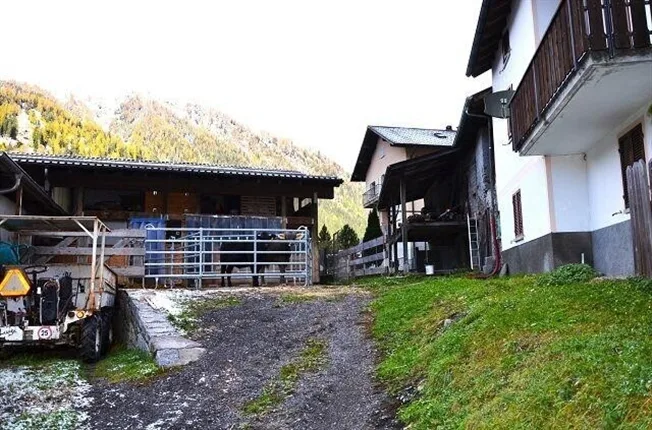 2 Zimmer Rustico in Campo (Blenio) – Foto 10 von 13
