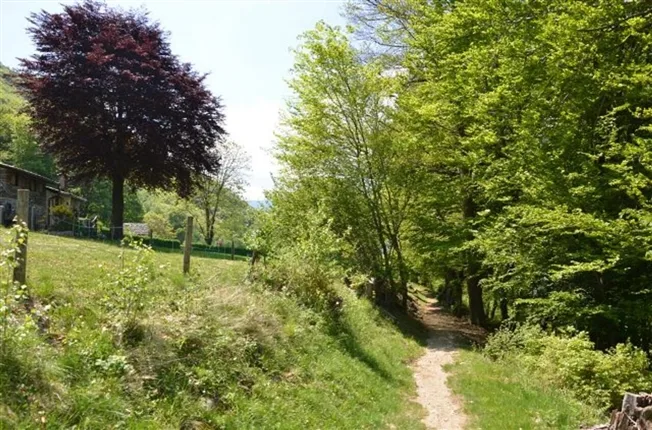 2.5 Zimmer Rustico in Camignolo – foto 11 di 13