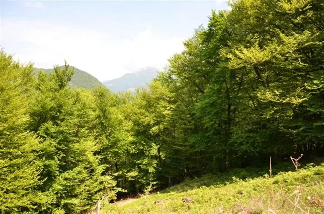 2.5 Zimmer Rustico in Camignolo – foto 12 di 13