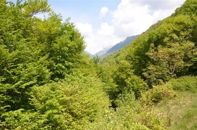 2.5 Zimmer Rustico in Camignolo – foto 10 di 13