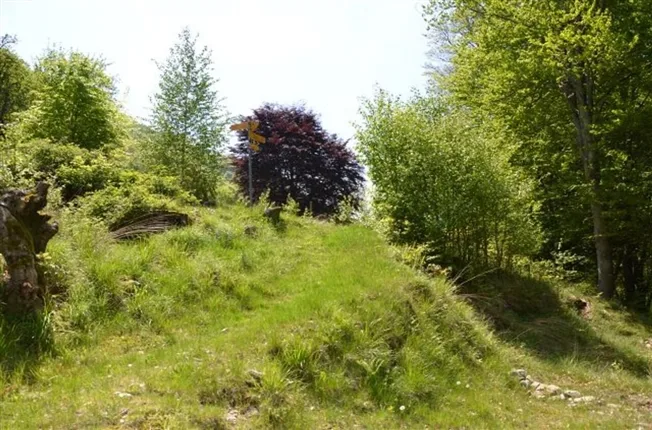2.5 Zimmer Rustico in Camignolo – foto 13 di 13