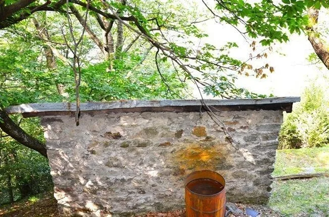 4.5 Zimmer Rustico in Medeglia – foto 12 di 13