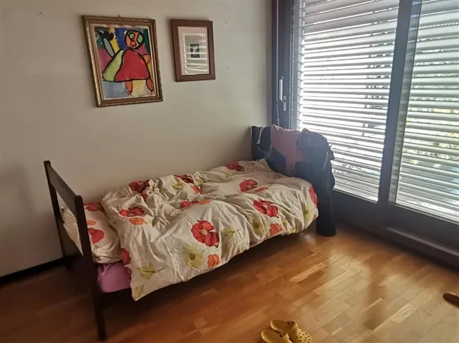 6.5 Zimmer Einfamilienhaus in Melano – foto 8 di 13