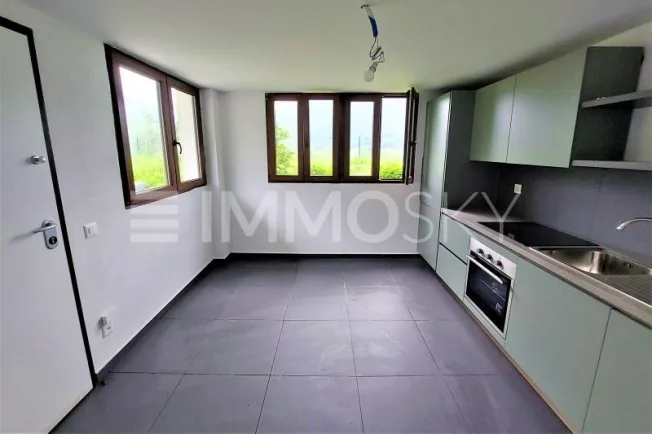 5.5 Zimmer Einfamilienhaus, 6822 Arogno