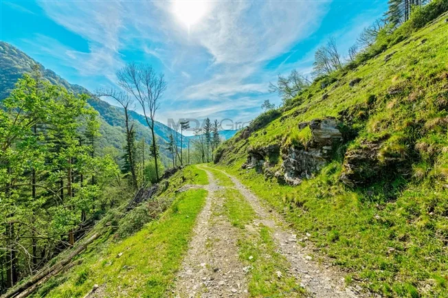 3 Zimmer Einfamilienhaus in Sagno – foto 5 di 20
