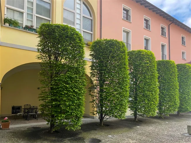 3.5 Zimmer Wohnung in Mendrisio – Foto 19 von 20