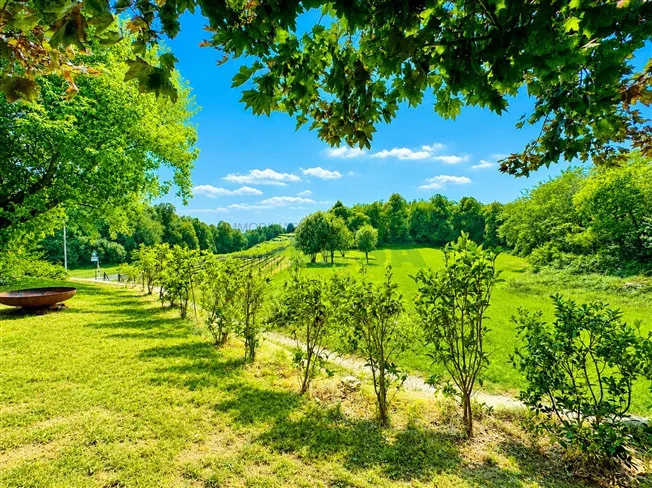 6.5 Zimmer Villa, 6850 Mendrisio