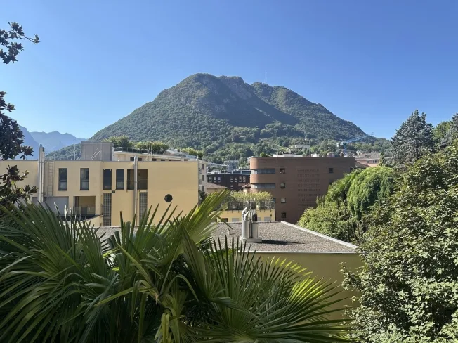 10.5 Zimmer Wohnung in Lugano – photo 12 of 12