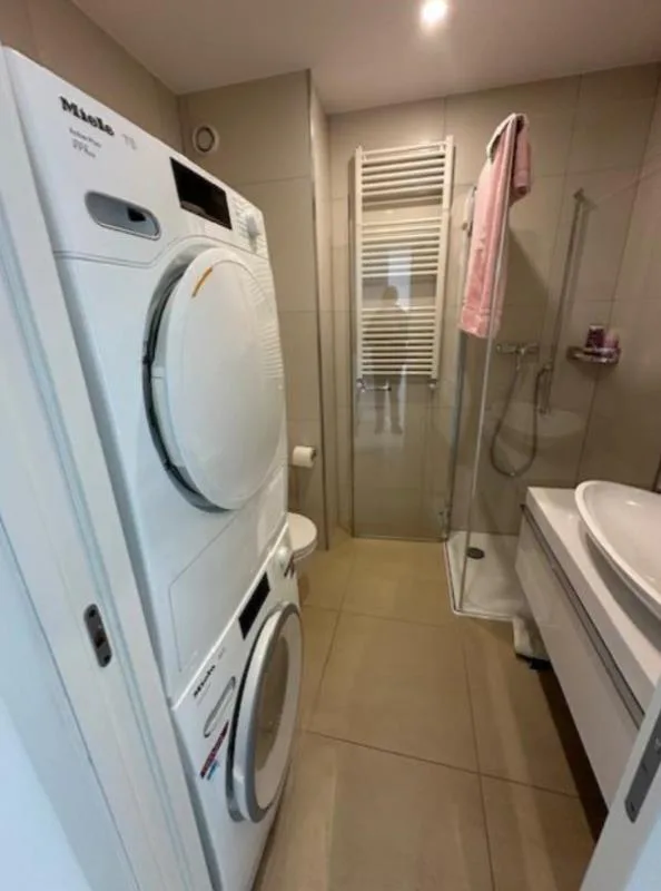 4.5 Zimmer Attikawohnung in Paradiso – foto 8 di 10
