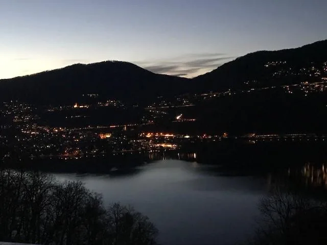 6.5 Zimmer Villa in Montagnola – foto 3 di 4