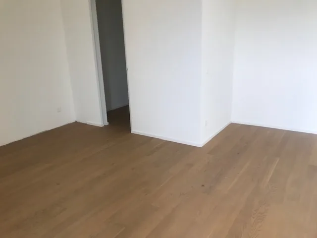 4.5 Zimmer Wohnung in Collina d’Oro – Foto 2 von 4
