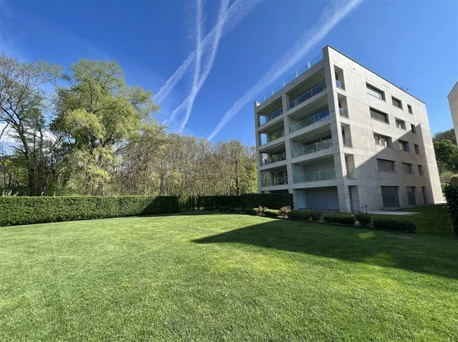 2.5 Zimmer Wohnung in Muzzano – Foto 3 von 14