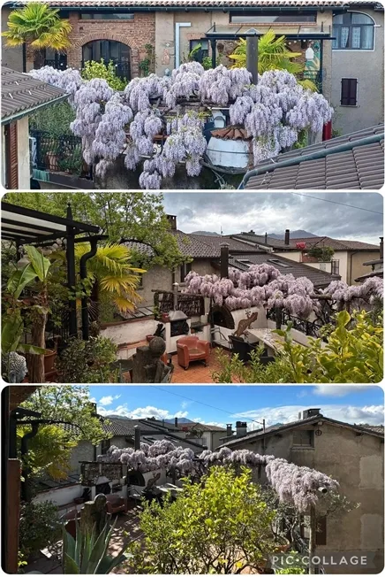 9 Zimmer Einfamilienhaus in Comano – Foto 3 von 17
