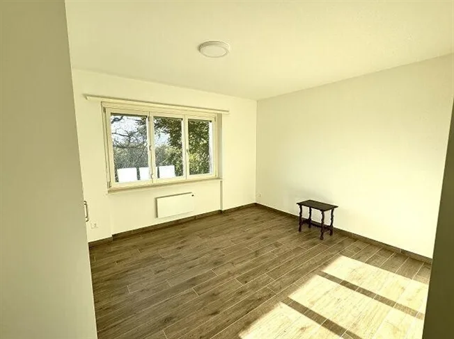 3.5 Zimmer Einfamilienhaus in Lopagno – foto 6 di 13
