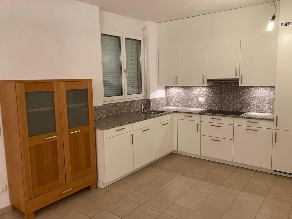 3.5 Zimmer Wohnung in Pregassona – foto 2 di 7