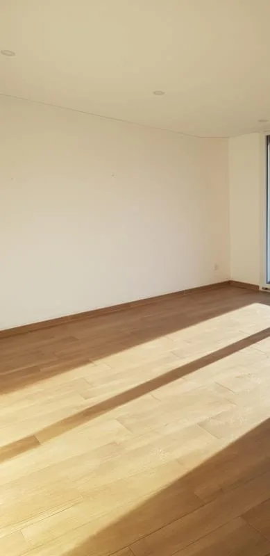 3.5 Zimmer Attikawohnung in Pregassona – foto 4 di 9