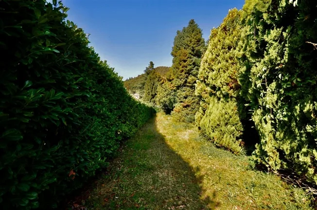 10 Zimmer Villa in Novaggio – Foto 13 von 20